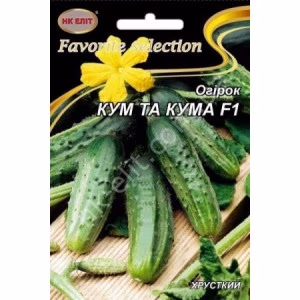 Огірок Кум та кума F1 (НК ЕЛІТ) 3 г.