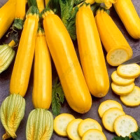 Кабачок Голдстік F1 (Lark Seeds) 500 нас.
