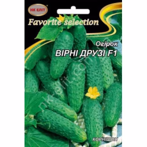 Огірок Вірні Друзі F1 (НК ЕЛІТ) 3 г.