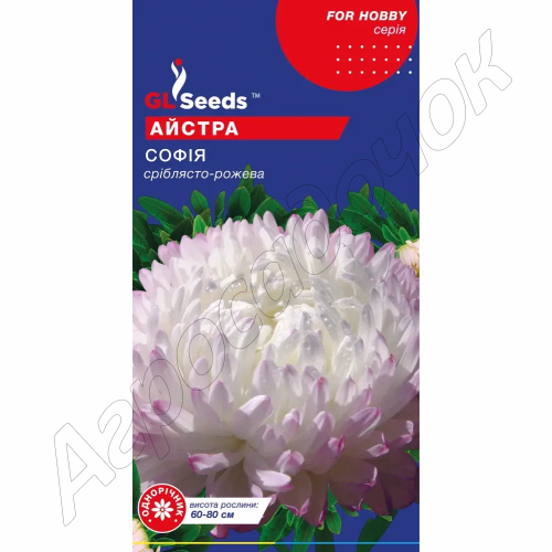 Айстра Софія (GL Seeds) 0,3 г.