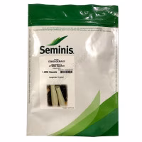 Кабачок Іскандер F1 (Seminis) 1000 нас.