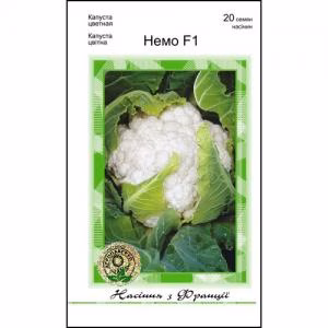 Капуста цвітна Немо F1 (Clause Tezier) 20 нас.