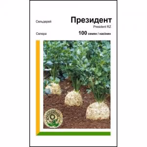 Селера коренева Президент (Rijk Zwaan) 100 нас.