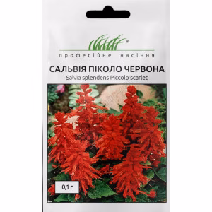 Сальвія блискуча Піколо червона (Проф Насіння) 0,1 г.