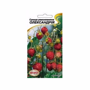 Суниця Олександрія (НК ЕЛІТ) 0,1 г.