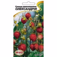 Суниця Олександрія (НК ЕЛІТ) 0,1 г.