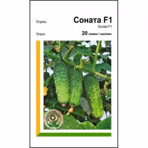 Огірок Соната F1 (Rijk Zwaan) 20 нас.