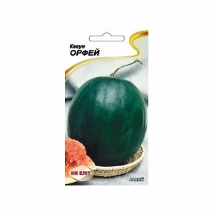 Кавун Орфей (НК ЕЛІТ) 1 г.