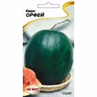 Кавун Орфей (НК ЕЛІТ) 1 г. Кавун Орфей (НК ЕЛІТ) 1 г.