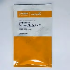 Огірок Бетіна F1 (Nunhems) 500 нас.