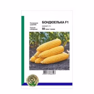 Кукурудза цукрова Бондюелька 3071 F1 (Syngenta) 50 г.