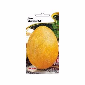 Диня Алушта (НК ЕЛІТ) 2 г.