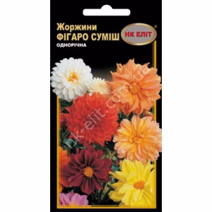 Жоржина Фігаро суміш махрова (НК ЕЛІТ) 0,3 г.