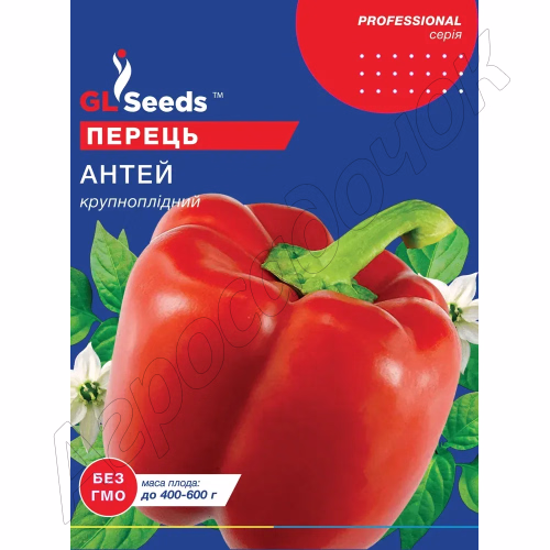 Перець солодкий Антей GL Seeds 3 г.
