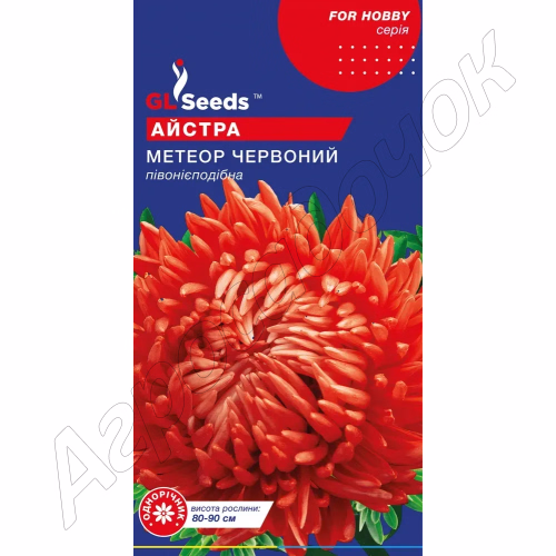 Айстра Метеор Червоний (GL Seeds) 0,3 г.