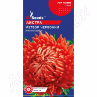 Айстра Метеор Червоний (GL Seeds) 0,3 г.