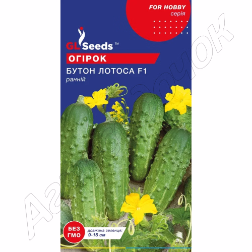 Огірок Бутон Лотоса F1 GL Seeds 0,5 г.