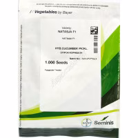 Огірок Наташа F1 (Seminis) 1000 нас. Огірок Наташа F1 (Seminis) 1000 нас.