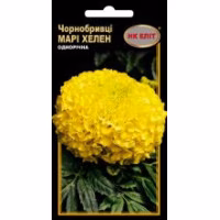 Чорнобривці Марі Хелен (НК ЕЛІТ) 0,3 г. Чорнобривці Марі Хелен (НК ЕЛІТ) 0,3 г.
