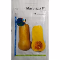 Гарбуз Матільда (Enza Zaden) 10 нас. Гарбуз Матільда (Enza Zaden) 10 нас.