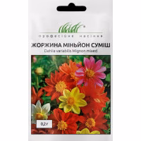 Жоржина Міньйон суміш (Проф Насіння) 0,2 г.