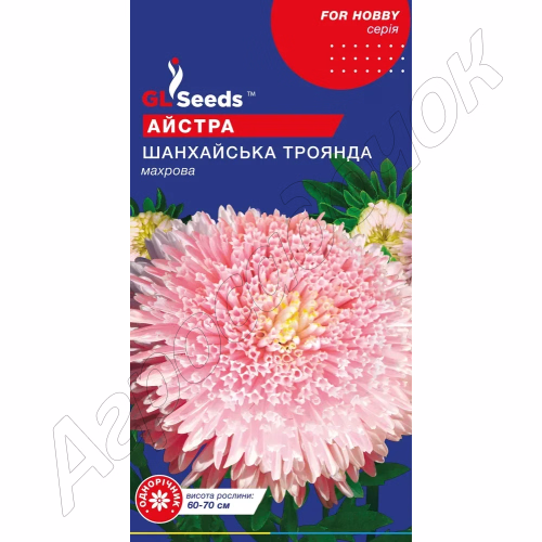Айстра Шанхайська троянда (GL Seeds) 0,3 г.