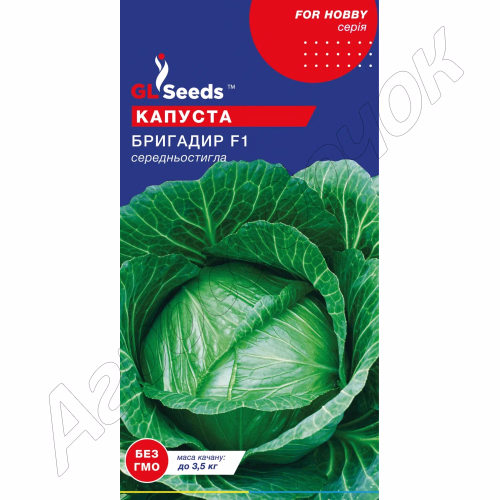 Капуста Бригадир F1 GL Seeds 50 нас.
