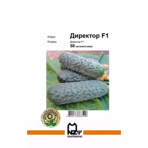 Огірок Директор F1 (Nunhems) 50 нас.