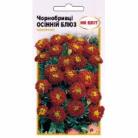 Чорнобривці Осінній Блюз (НК ЕЛІТ) 0,5 г.