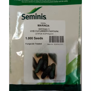 Огірок Марінда F1 (Seminis) 1000 нас.