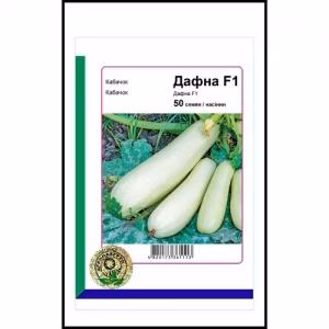 Кабачок  Дафна F1 (Syngenta) 50 нас.