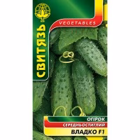 Огірок Владко F1 (Свитязь) 1 г.