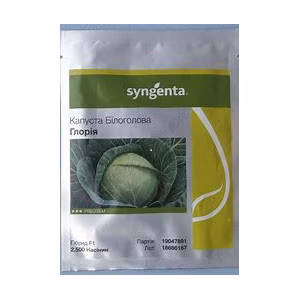 Капуста Глорія F1 (Syngenta) 2500 нас.