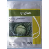 Капуста Глорія F1 (Syngenta) 2500 нас. Капуста Глорія F1 (Syngenta) 2500 нас.