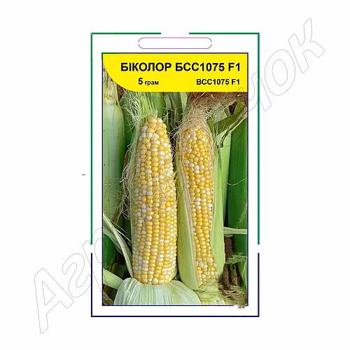 Кукурудза цукрова Біколор БСС 1075 F1 (Syngenta) 5 г.