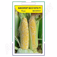 Кукурудза цукрова Біколор БСС 1075 F1 (Syngenta) 5 г. Кукурудза цукрова Біколор БСС 1075 F1 (Syngenta) 5 г.