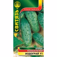 Огірок Водограй F1 (Свитязь) 1 г.