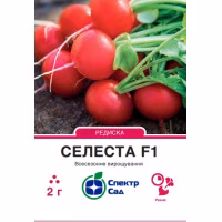 Редиска Селеста F1 (СпектрСад) 2 г. Редиска Селеста F1 (СпектрСад) 2 г.