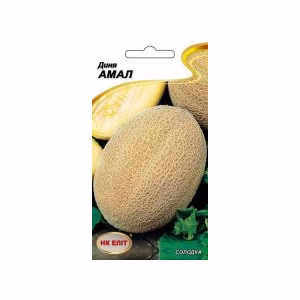 Диня Амал (НК ЕЛІТ) 2 г.