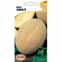 Диня Амал (НК ЕЛІТ) 2 г.