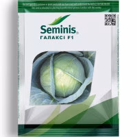 Капуста Галаксі F1 (Seminis) 2500 нас.
