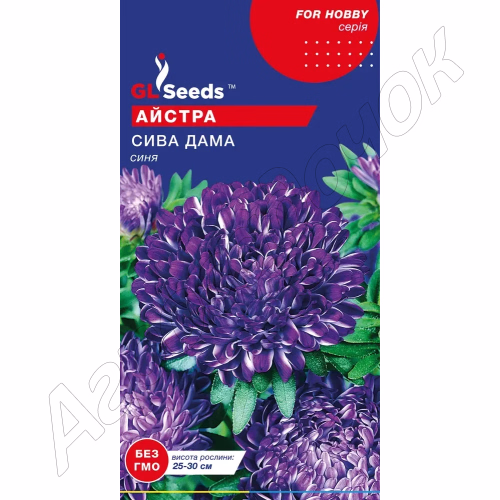 Айстра Сива Дама синя (GL Seeds) 0,3 г.