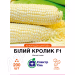 Кукурудза цукрова Білий кролик F1 (СпектрСад) 200 нас.