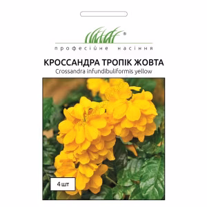 Кроссандра Тропік жовта (Проф Насіння) 4 нас.