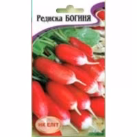 Редиска Богиня (НК ЕЛІТ) 3 г.