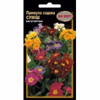 Примула садова суміш (НК ЕЛІТ) 0,1 г.