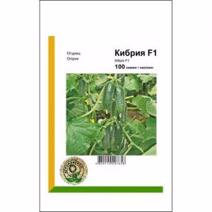 Огірок Кібрія F1 (Rijk Zwaan) 100 нас.