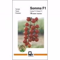 Томат Сомма F1 (Nunhems) 10 нас. Томат Сомма F1 (Nunhems) 10 нас.