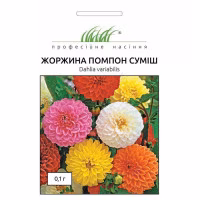 Жоржина Помпон суміш махрова (Проф Насіння) 0,1 г.