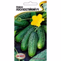 Огірок Посухостійкий F1 (НК ЕЛІТ) 15 нас.